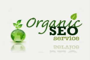 Las Vegas Organic SEO Company image in green color