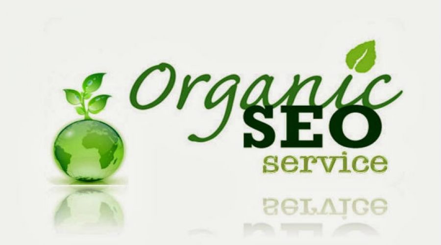 Las Vegas Organic SEO Company image in green color